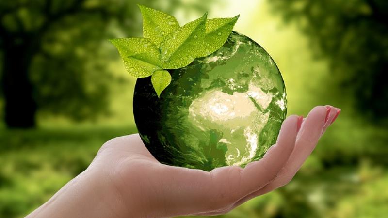 Environmental